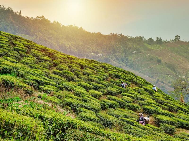 PBP Travels and Hotels