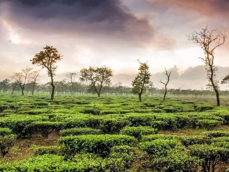 PBP Travels and Hotels